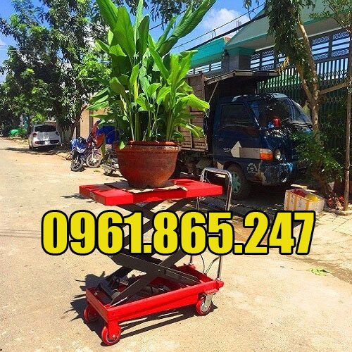 Xe nâng có mặt bàn nâng cây cảnh