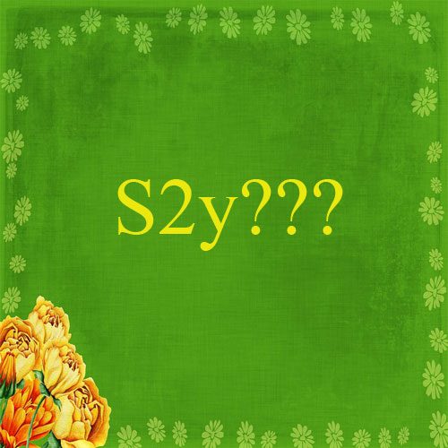 S2y Là gì?