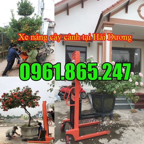 Xe nâng cây cảnh, chậu cảnh tại Hải Dương