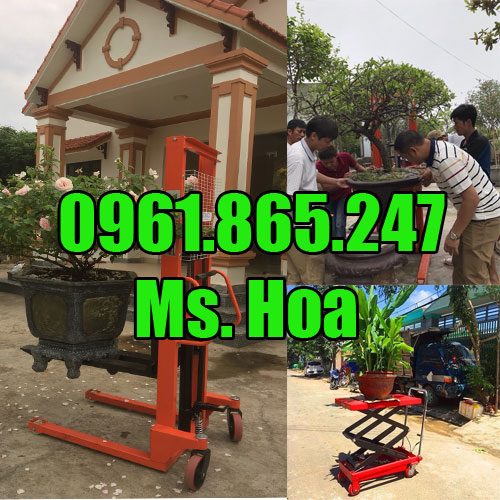 Xe nâng chậu hoa, chậu mai